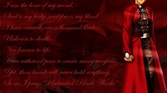 Fate stay night Archer