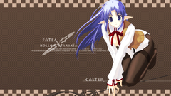 Fate Stay night caster