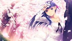 Fate stay night dress