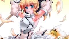 Fate stay night Fate