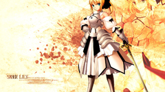 Fate stay night Fate