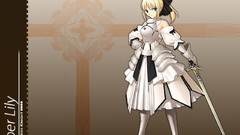 Fate stay night Fate