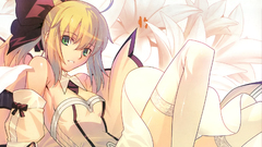 Fate stay night Fate