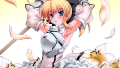 Fate stay night Fate