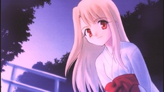 Fate stay night fate