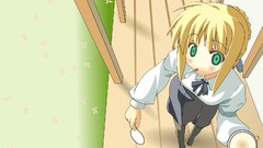 Fate stay night Fate