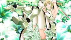 Fate stay night Fate