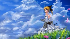 Fate stay night Fate