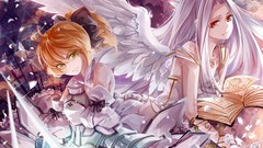 Fate stay night Fate