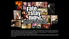Fate stay night hollow