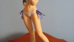 Fate stay night models