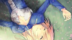 Fate stay night saber