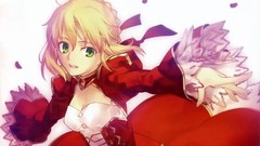 Fate stay night saber