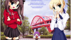 Fate stay night tohsaka