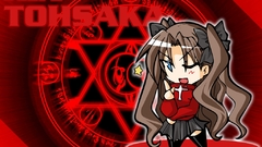 Fate stay night tohsaka