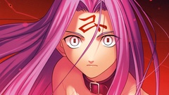 Fate stay night type-moon