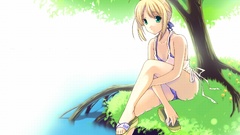 Fate stay night type-moon