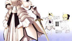 Fate Unlimited Codes Anime