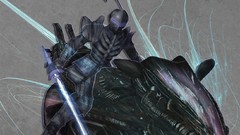 Fate zero fate series Berserker (Fate/Zero)