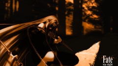 Fatestaynight Manga Anime