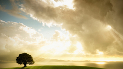 Fave enlightenment ty for