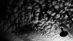 Fear The high Resolution yourforgiveness