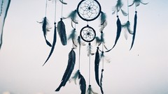 Feathers dreamcatchers