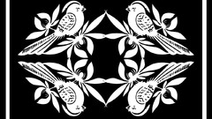 Feathers ruffled baysideartcommunity