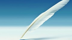 Feathers Samsung Galaxy Note II