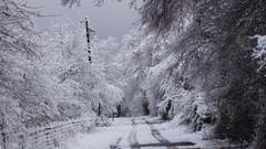 February My driveway Last