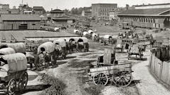 Federal Army wagons at