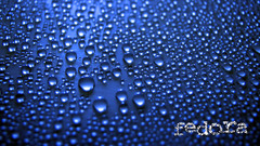 Fedora wet water drops
