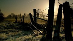 Fences barbed wire