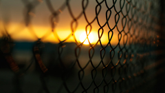 Fences Chain Link Fence