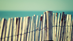 Fences macro picket fence