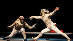 Fences Sports Dodge rapier