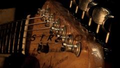 Fender guitars Fender Stratocaster