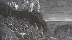 Field high nature on