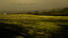 Field one The most and feel heather This