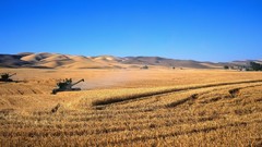 Fields hills harvest farming