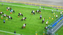 Fields Horses tilt-shift polo