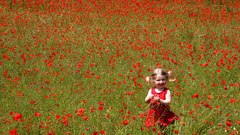 Fields pigtails red flowers