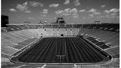 Fields Pitch Black arena