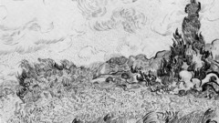 Fields wheat sketches Vincent