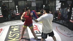 Fighters American mma martial arts Mixed Martial Arts gina 