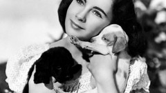 Film woman Cleopatra National Elizabeth Taylor