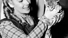 Film woman little Elizabeth Taylor