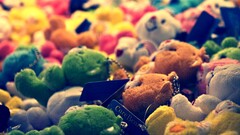 filter depth of field Toys teddy bears Plush Toy