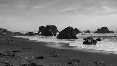 Filtered high bodega