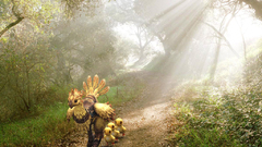 Final Fantasy Chocobo
